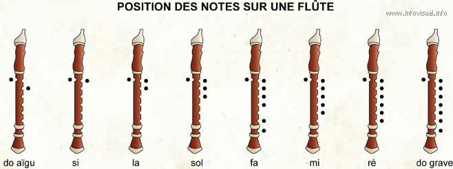 Position des notes sur une flûte (Dictionnaire Visuel)